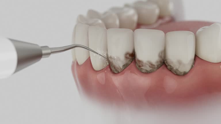 Reliable Dental contractor in Avoyelles Parish County, LA by Dentist Open Now